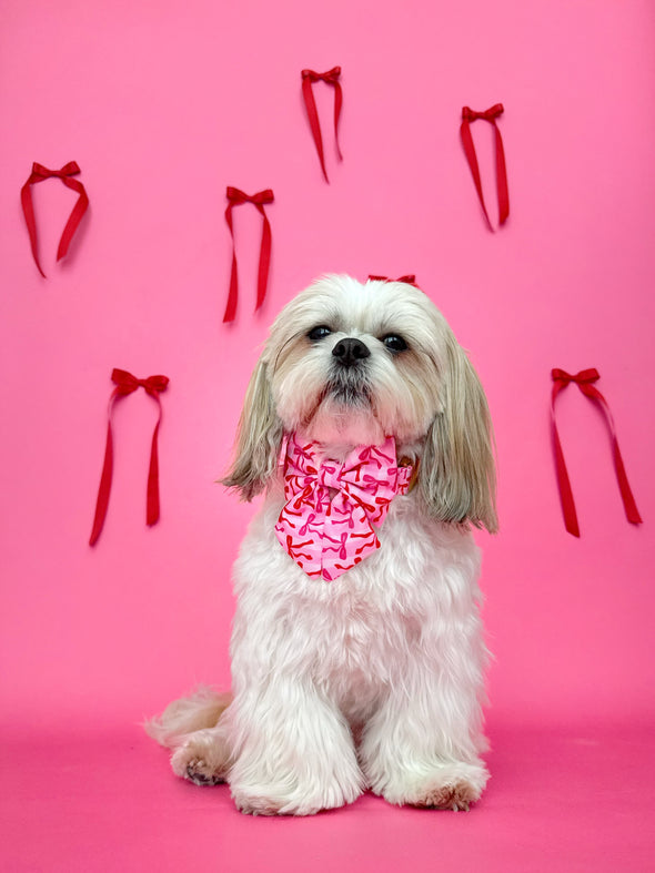 Coquette - Dog Sailor Bowtie