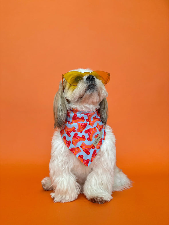 Roller Skate - Reversible Dog Bandana