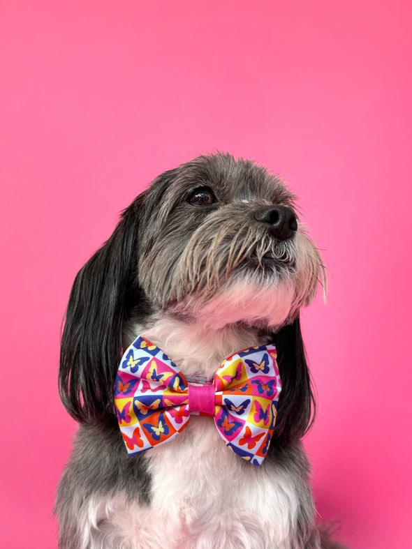 Mariposa - Dog Bowtie