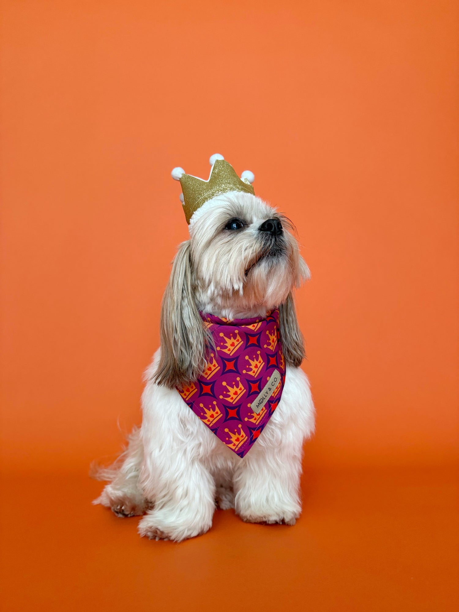 Royal Queen - Dog Bandana