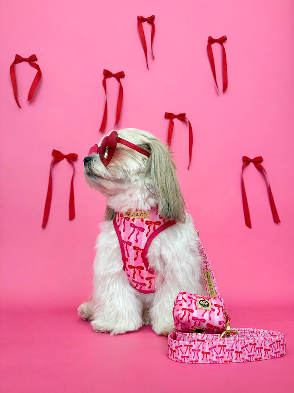 Coquette - Dog Poop Bag Holder