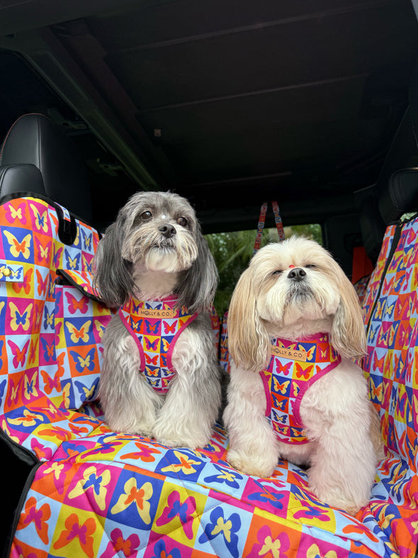 Mariposa - Dog Car Seat Cover