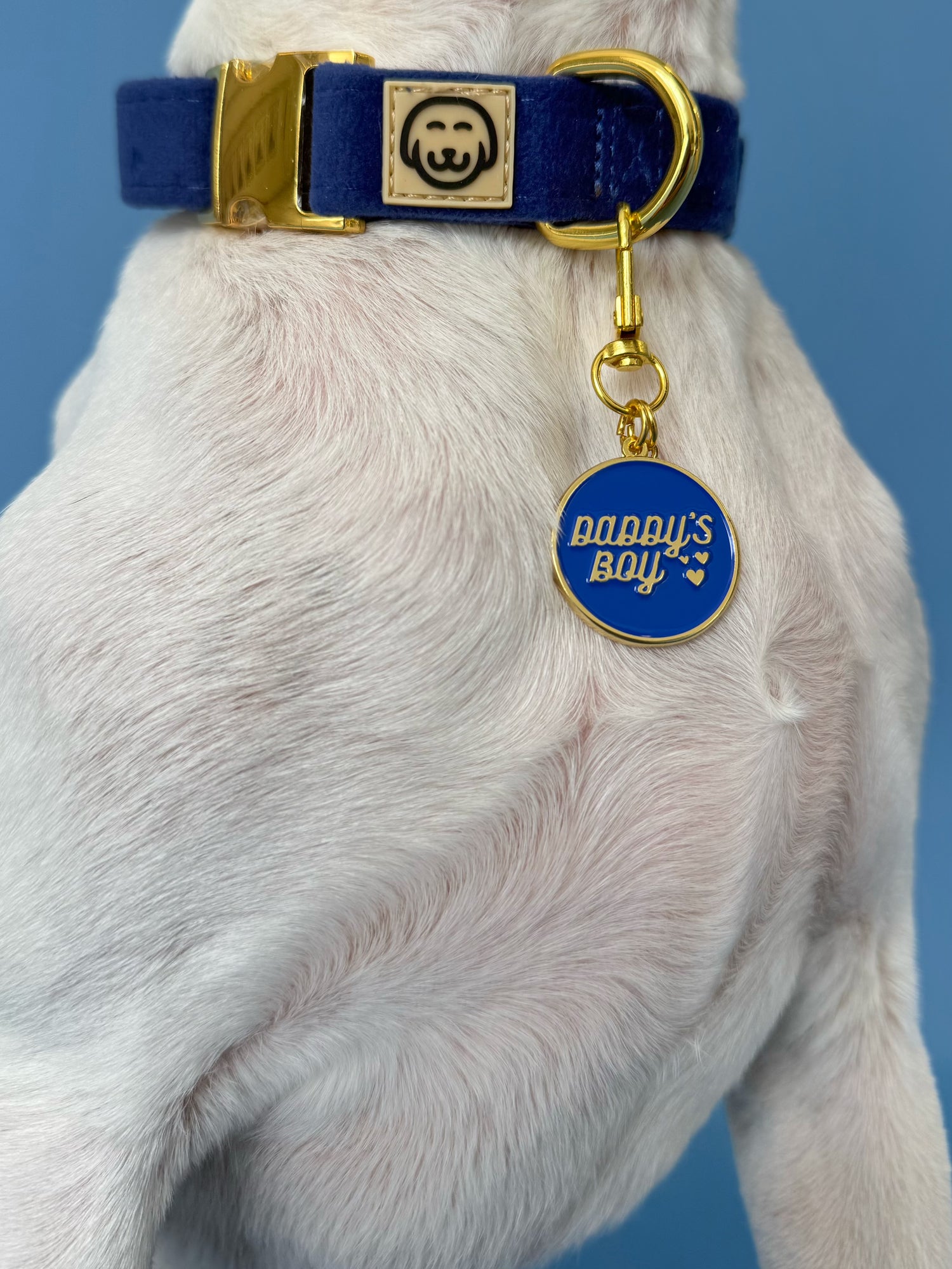 Daddy's Boy - Collar Charm
