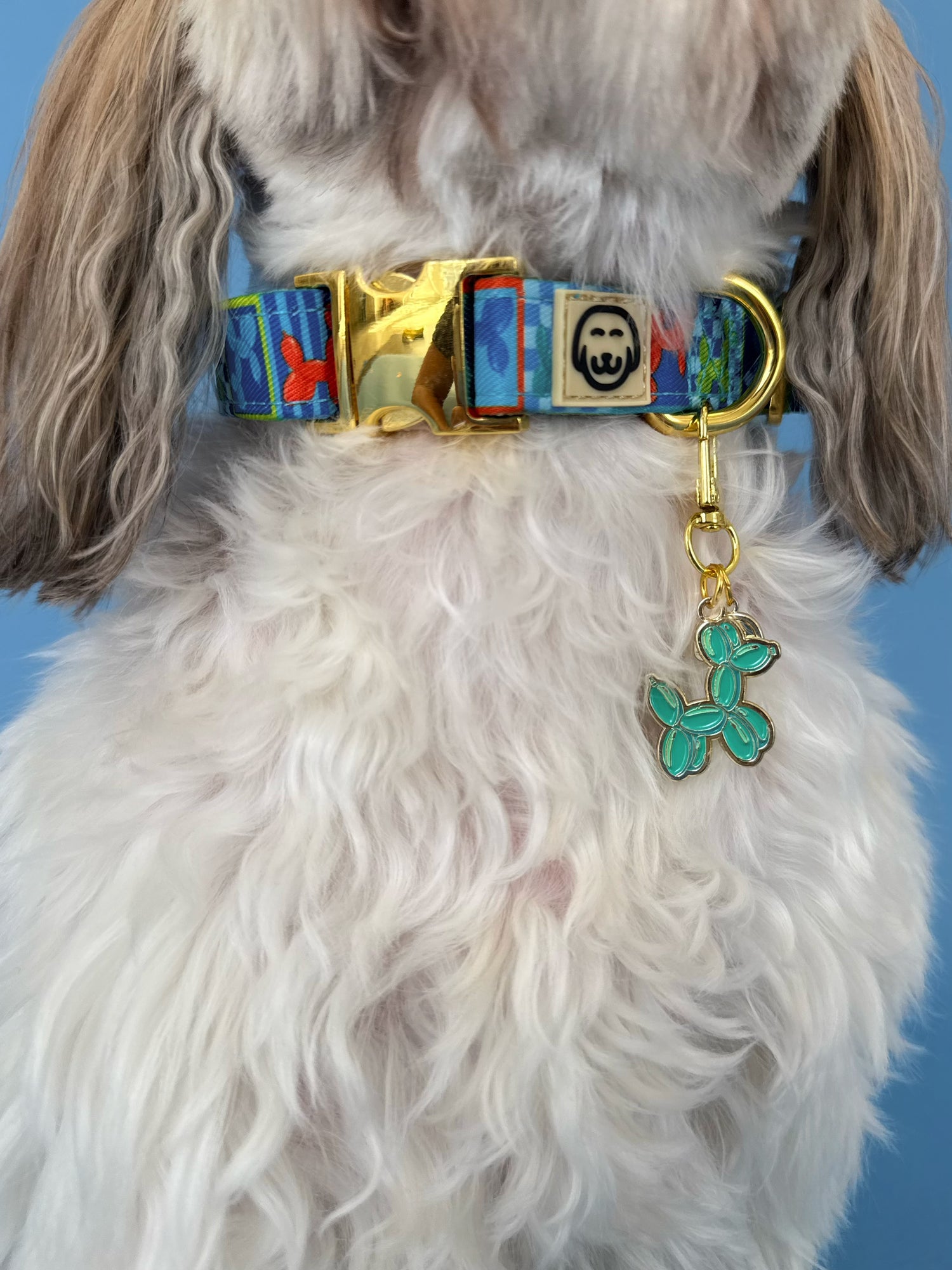 Neon Pop - Collar Charm