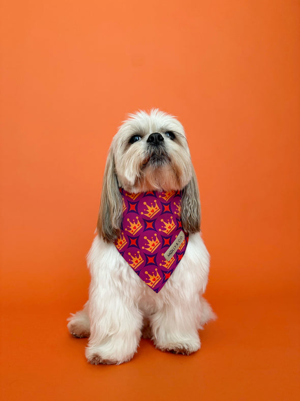 Royal Queen - Dog Bandana