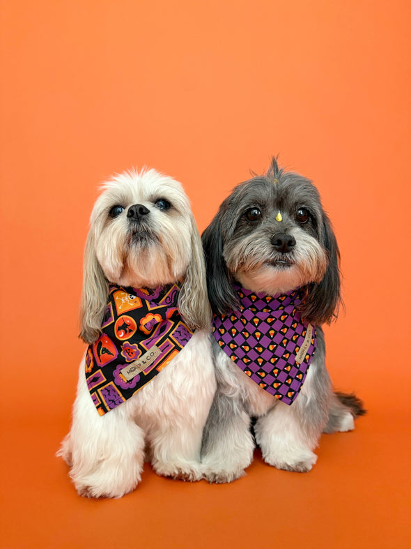 Stay Wicked - Reversible Dog Bandana
