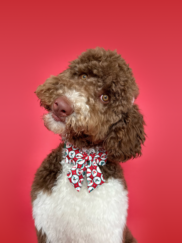 Santa's Workshop - Dog Sailor Bowtie