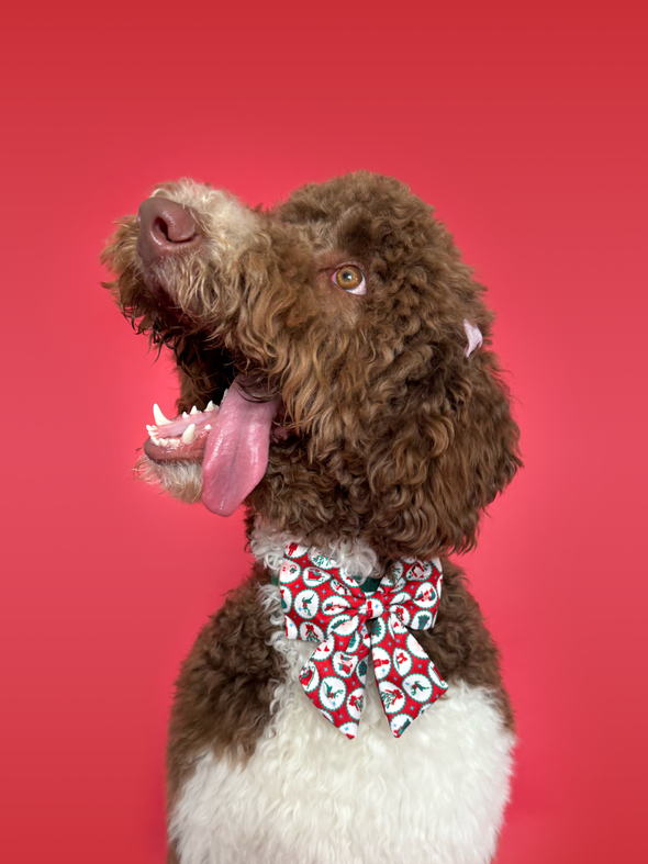 Santa's Workshop - Dog Sailor Bowtie