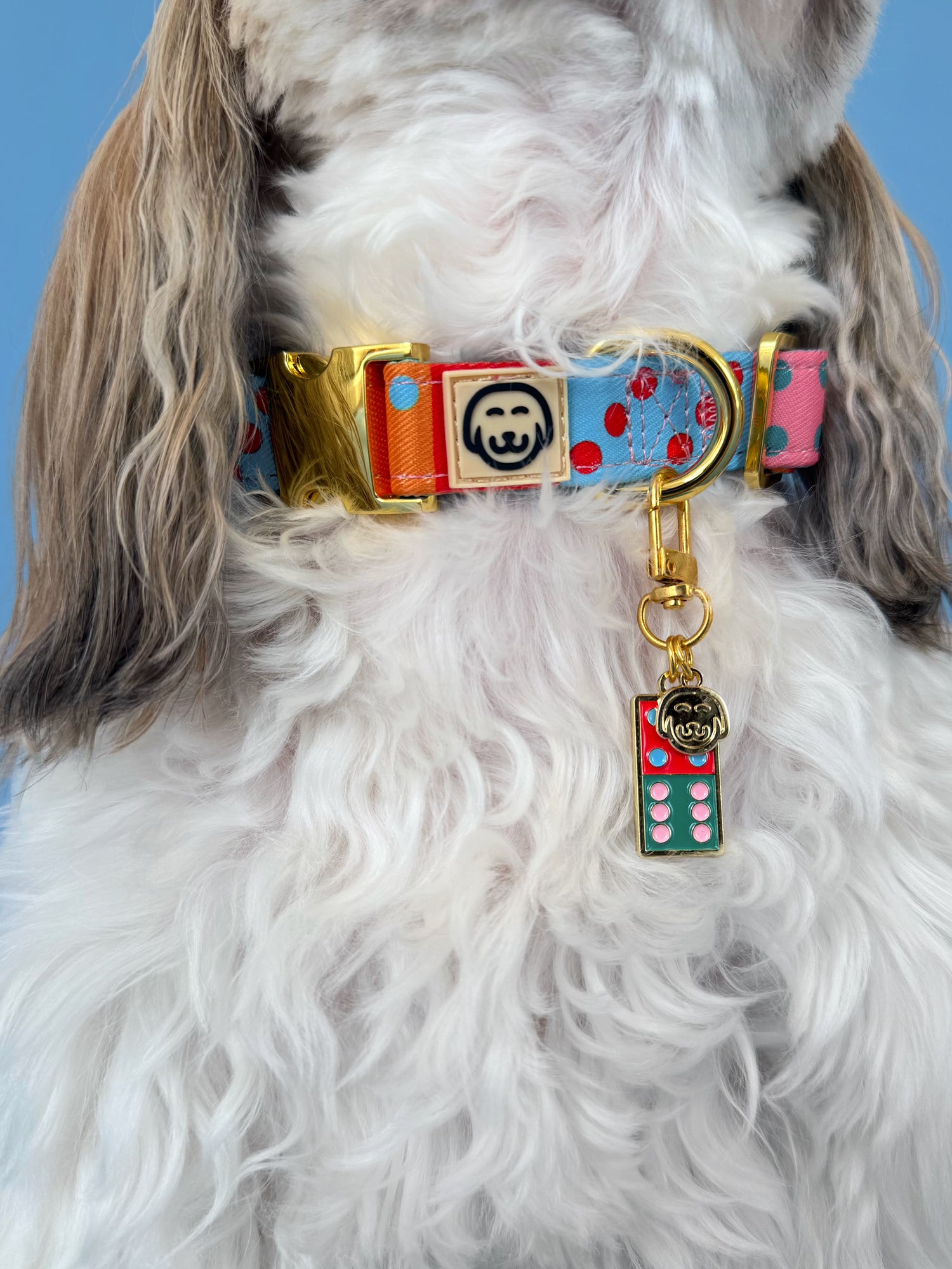 Doble Seis - Collar Charm