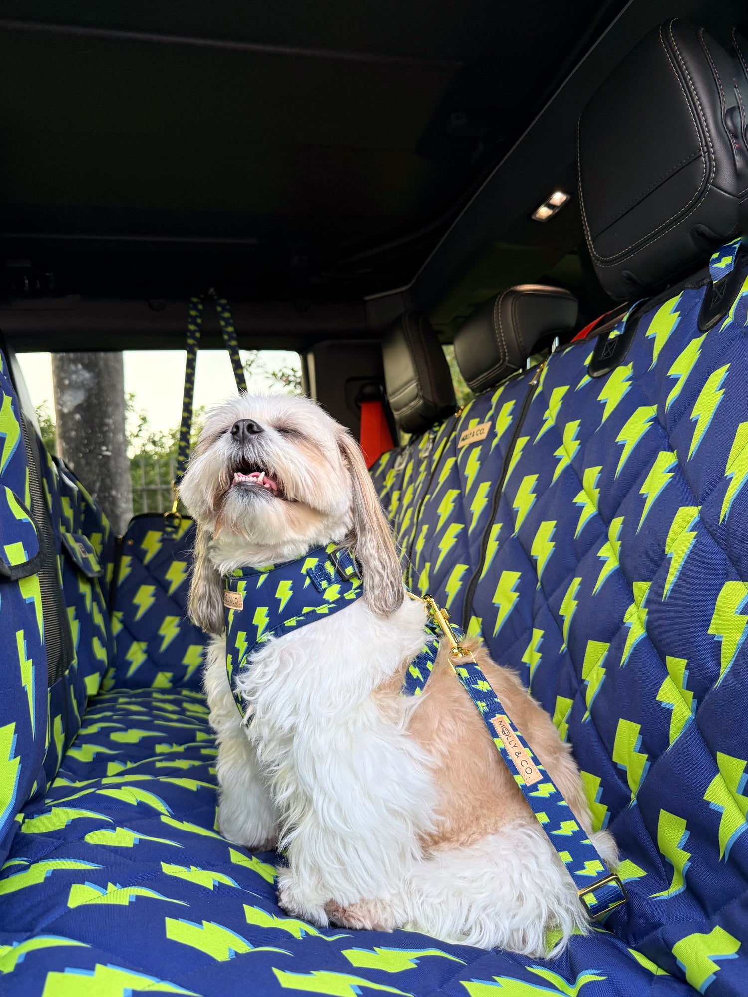 Bolt - Dog Seatbelt