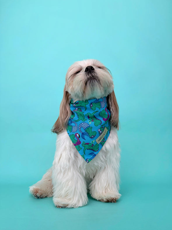 Rex in Paradise - Reversible Dog Bandana