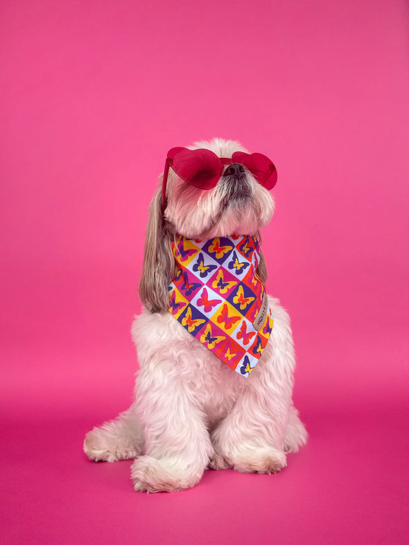 Mariposa - Dog Bandana