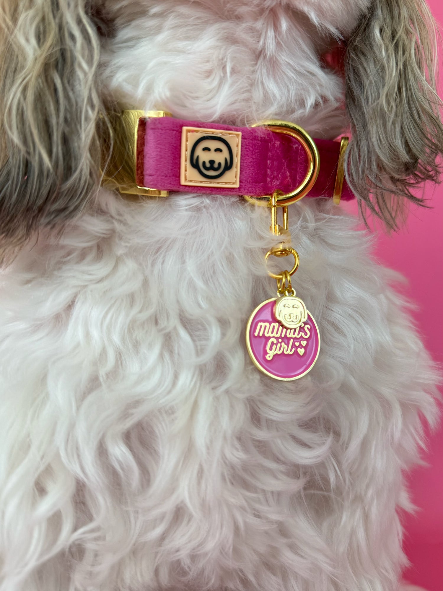 Mama's Girl - Collar Charm