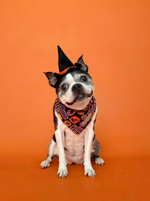 Stay Wicked - Reversible Dog Bandana