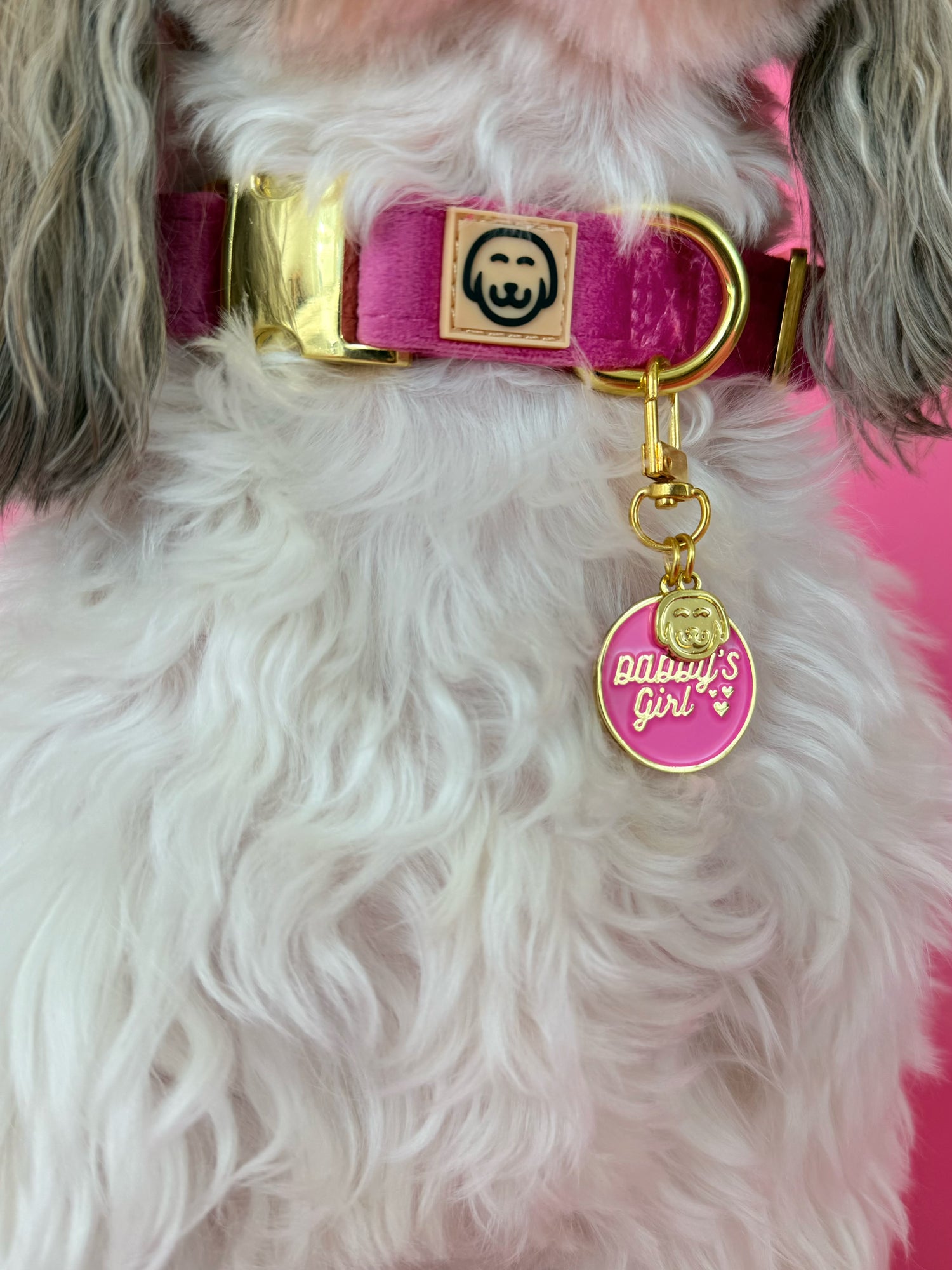 Daddy's Girl - Collar Charm