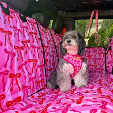 Coquette - Dog Car Seat Cover