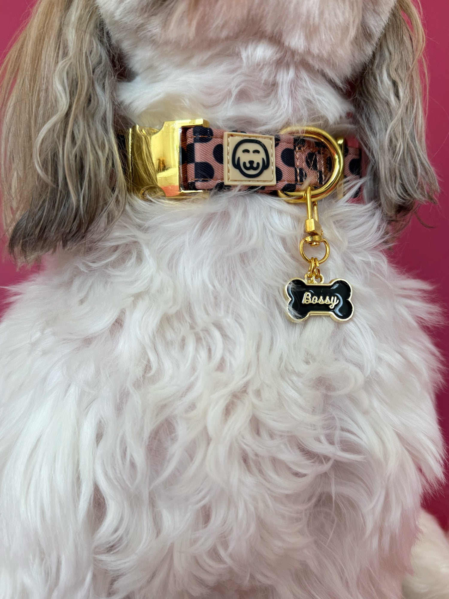 Bossy - Collar Charm