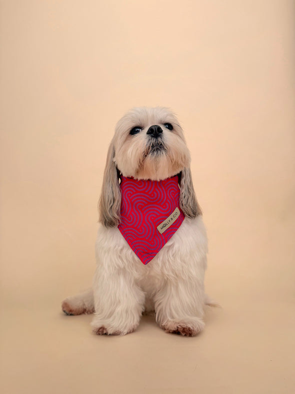 Mon Chéri - Reversible Dog Bandana