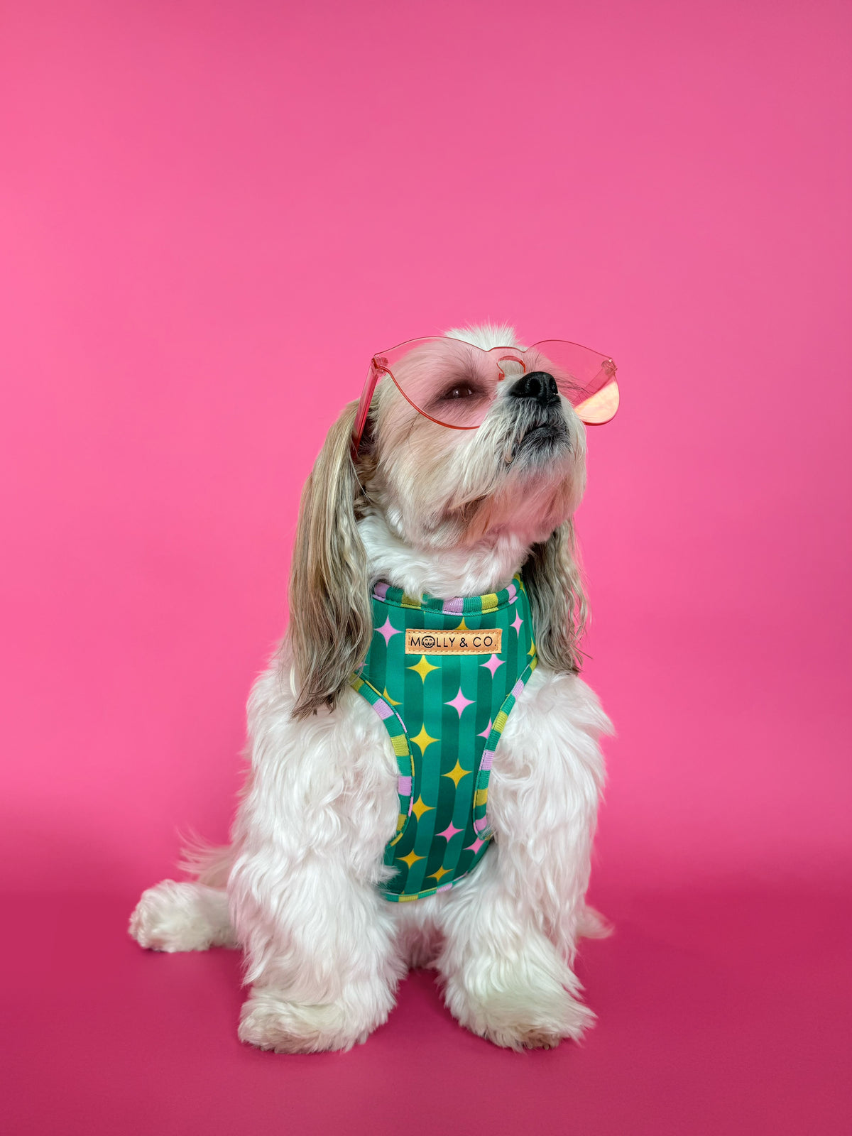 Misty - Adjustable Dog Harness