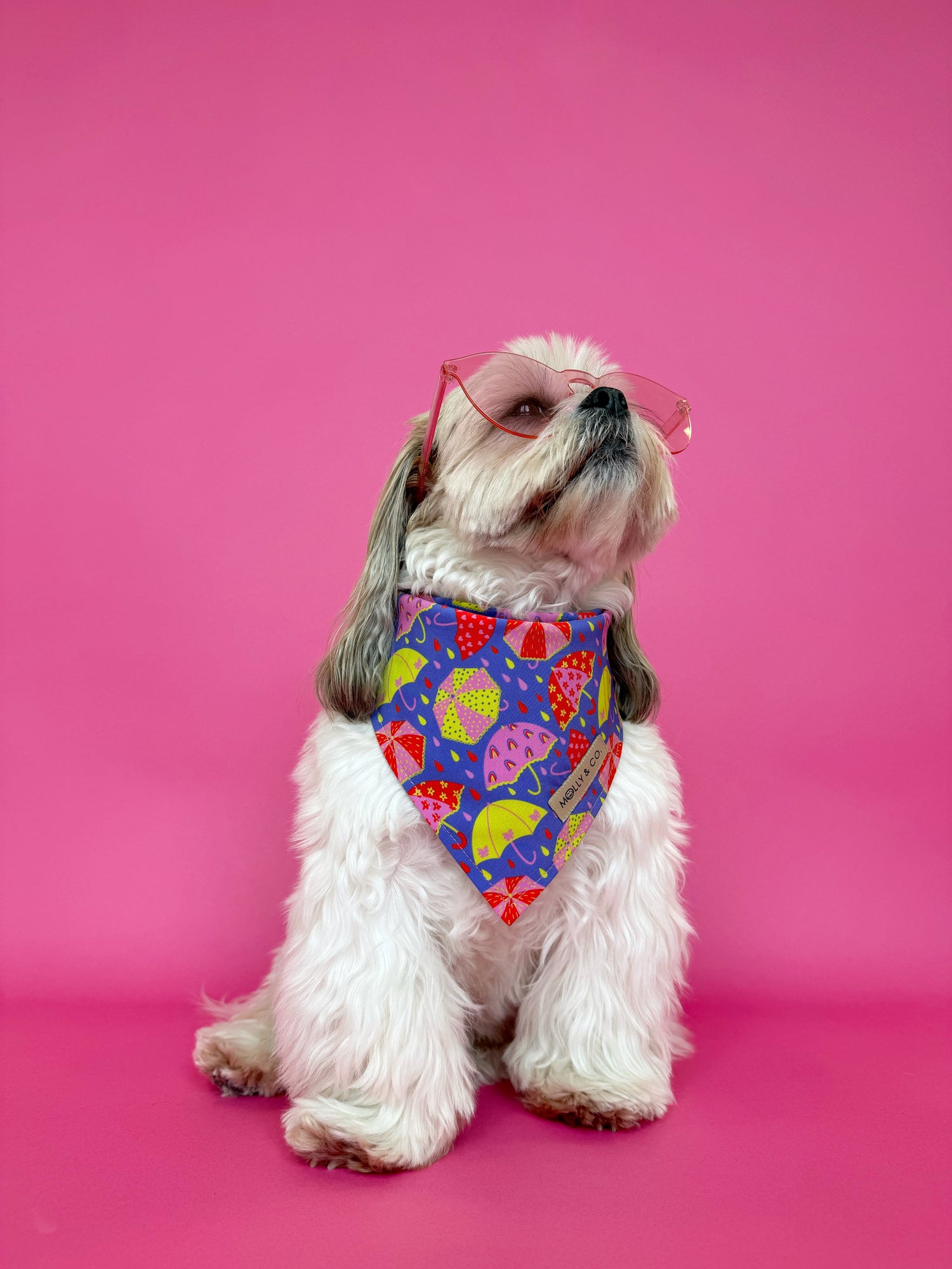 Raindrop - Dog Bandana