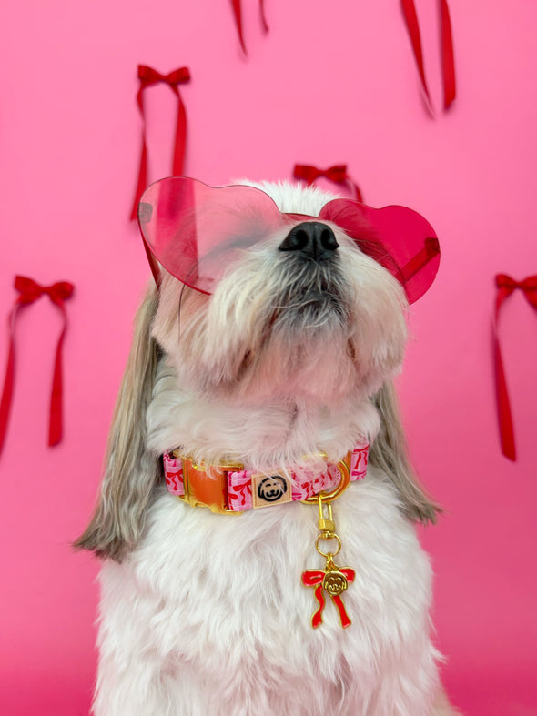 Coquette - Collar Charm