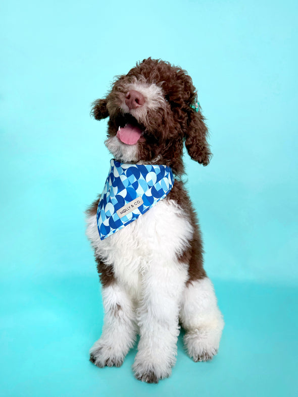 Milos - Dog Bandana