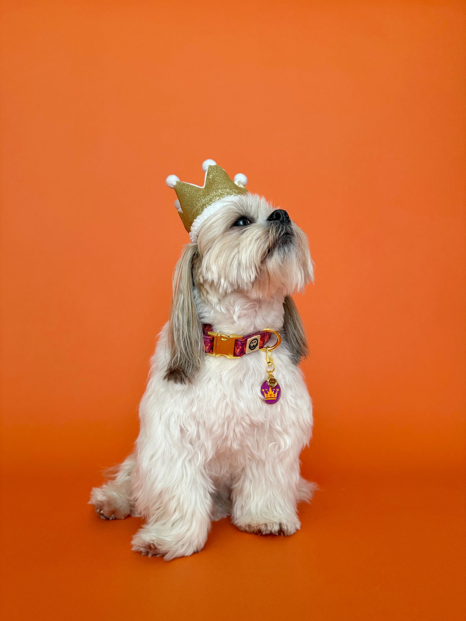 Royal Queen - Collar Charm