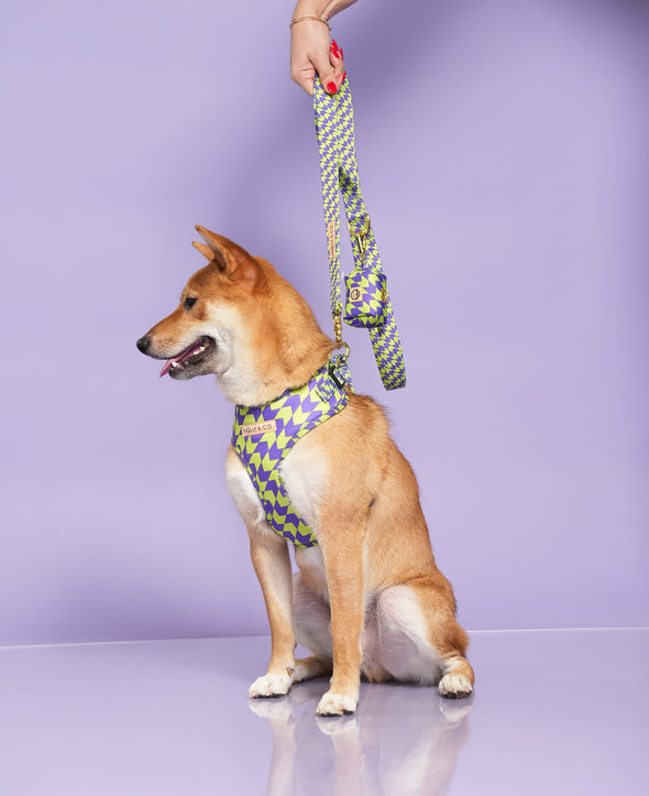 Fetch Master - Adjustable Dog Harness