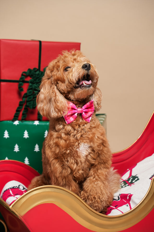 Rosewood Tartan - Dog Bowtie