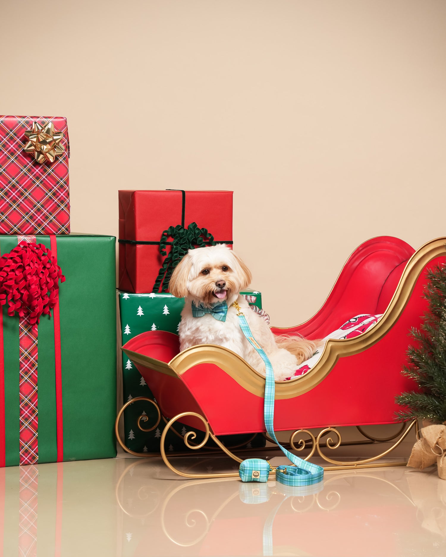 Deluxe Bundle - Northern Lights Plaid