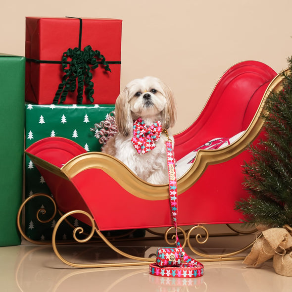 Gingerbread - Dog Leash