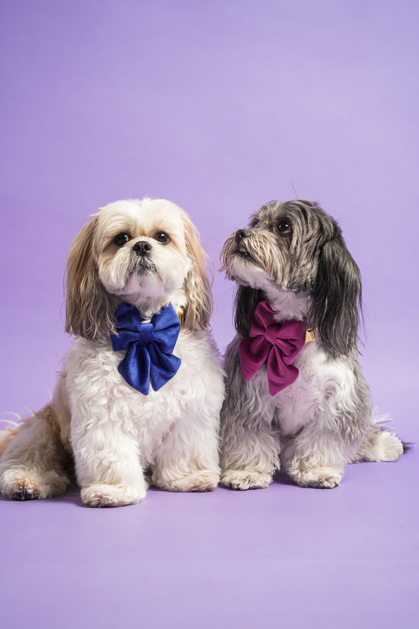 Plum Velvet - Dog Sailor Bowtie