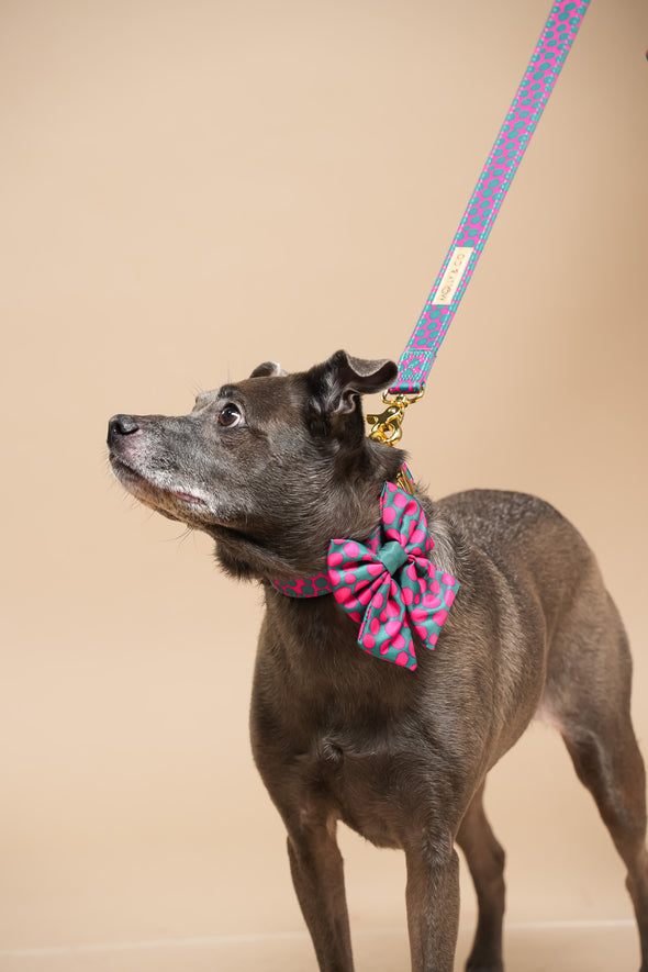 Polka Dogz - Dog Sailor Bowtie