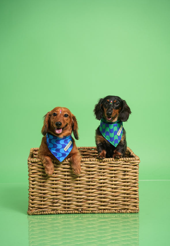 Forest - Reversible Dog Bandana