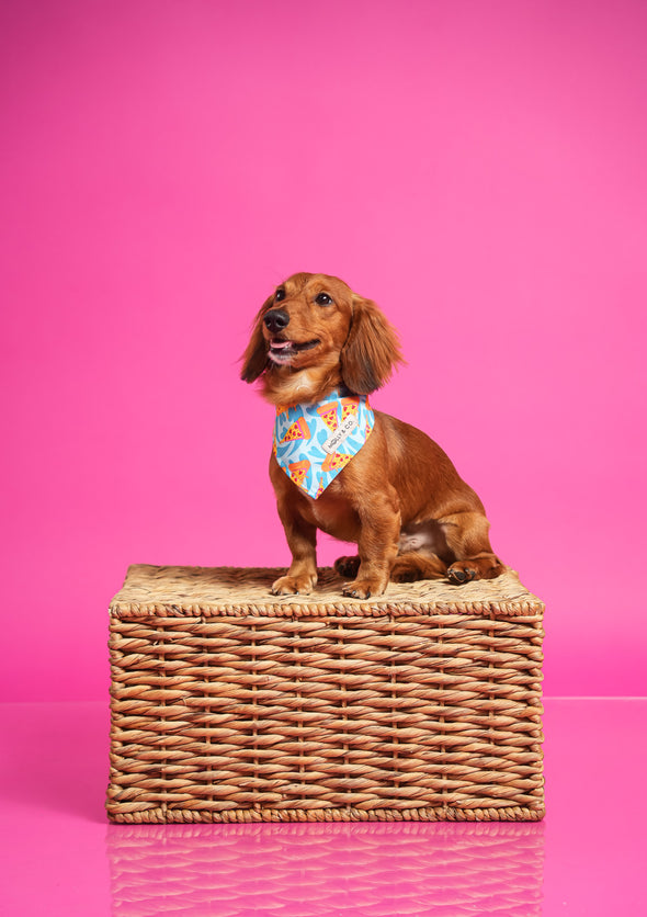 Pizza Lover - Reversible Dog Bandana