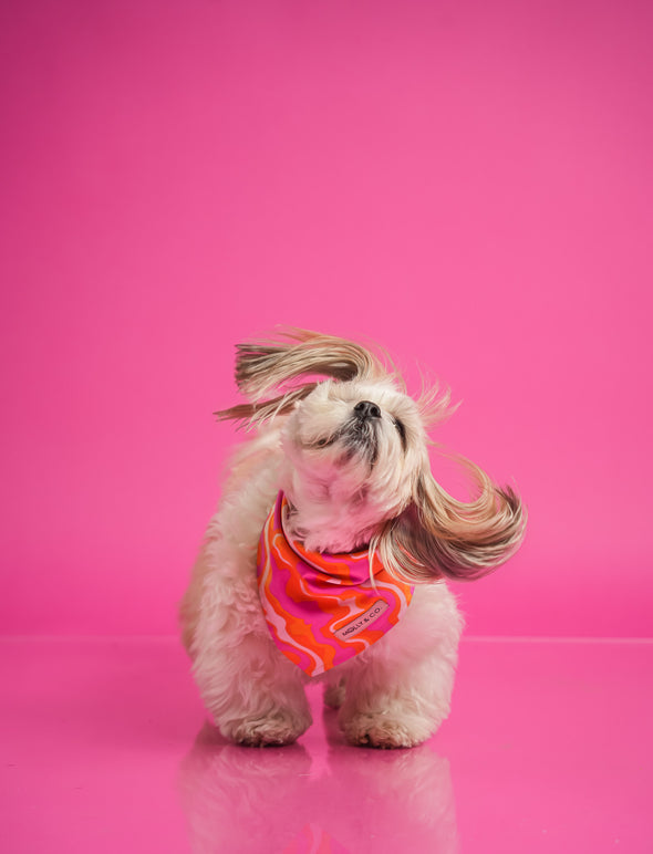 Sweet Cherry - Reversible Dog Bandana