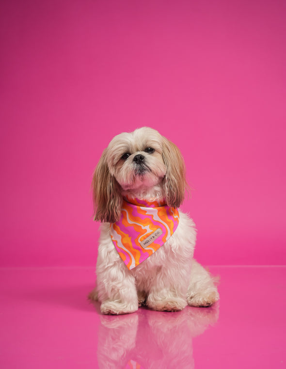 Sweet Cherry - Reversible Dog Bandana