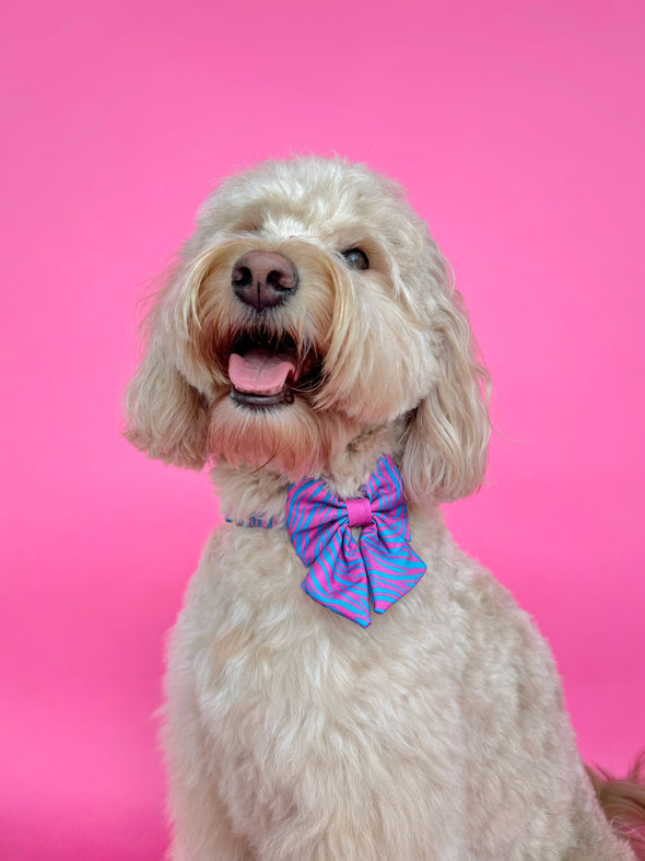 Malibu Doll - Dog Sailor Bowtie