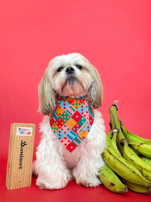 Doble Seis - Reversible Dog Bandana