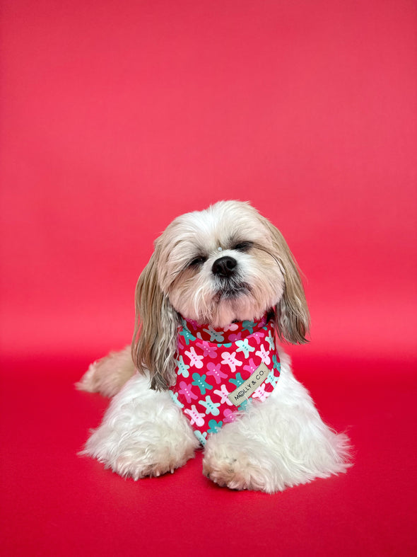 Rosewood Tartan + Gingerbread - Reversible Dog Bandana