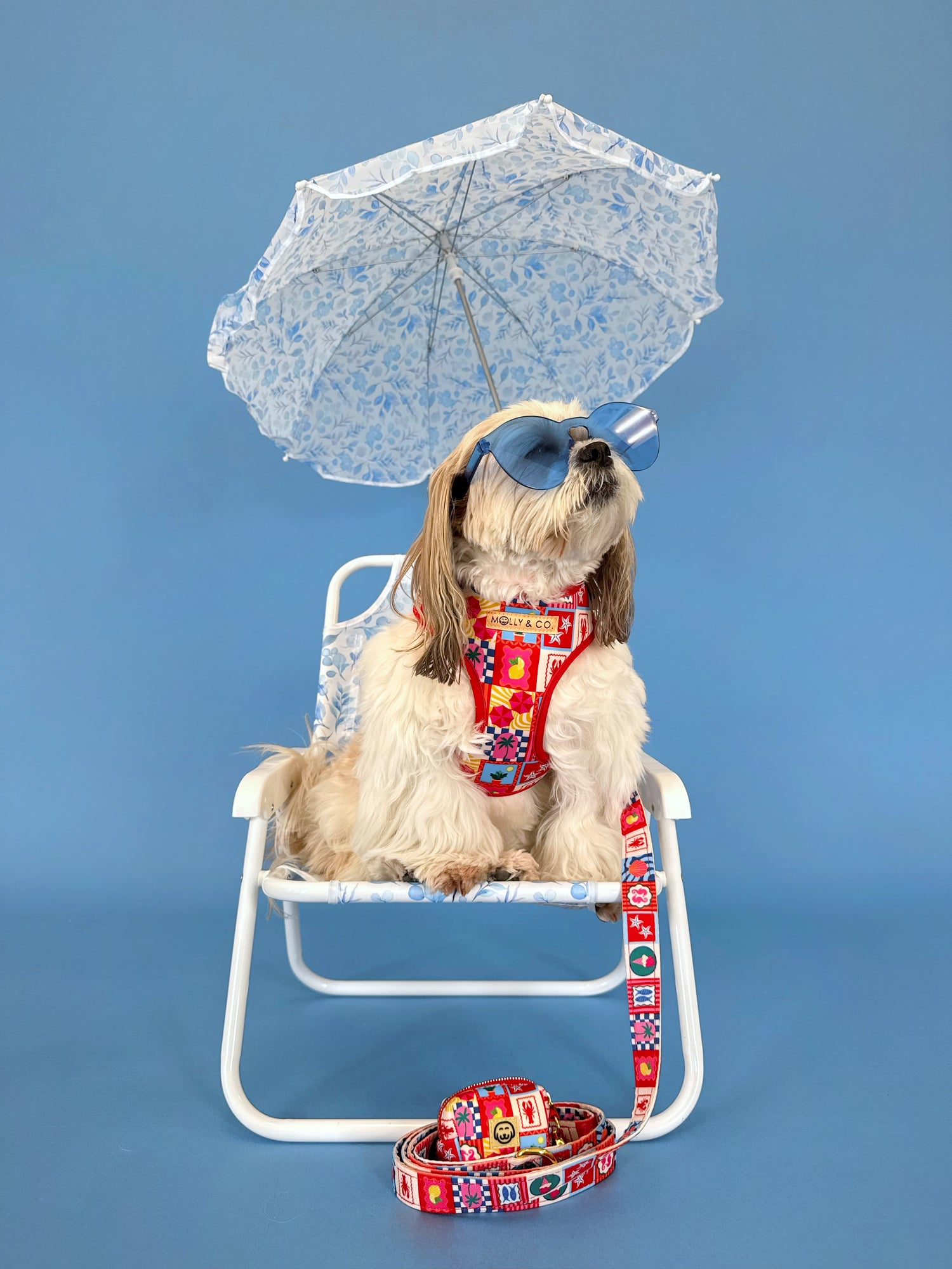 Amalfi - Walking Bundle