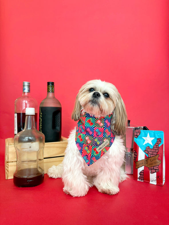 Café con Pitorro - Reversible Dog Bandana