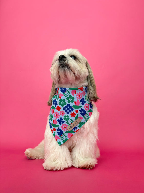 Lilybird - Reversible Dog Bandana