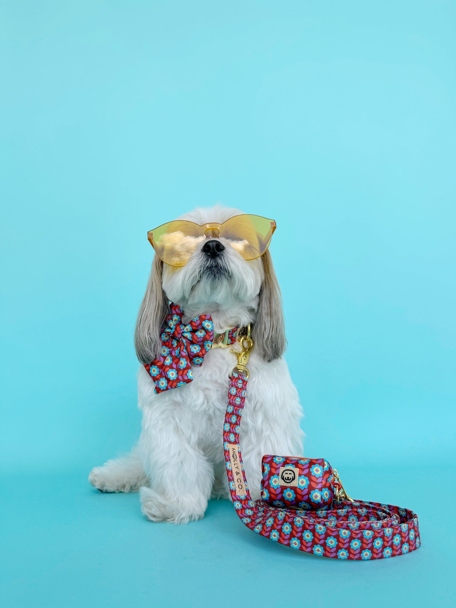 Poppy - Dog Poop Bag Holder