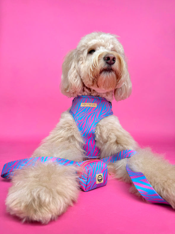 Malibu Doll - Adjustable Dog Harness