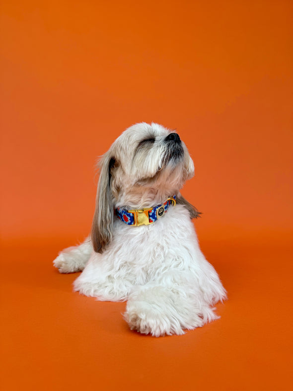 Sorrento - Dog Collar