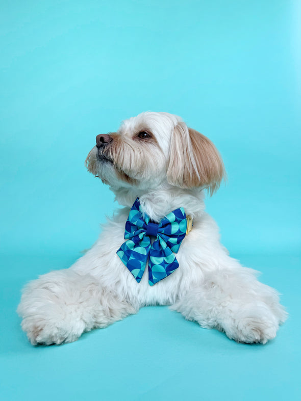Milos - Dog Sailor Bowtie