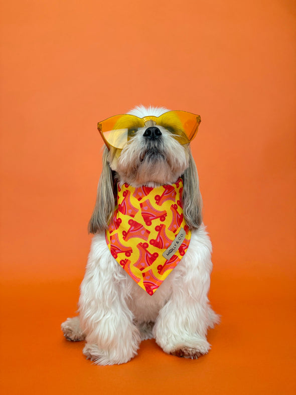 Roller Skate - Reversible Dog Bandana