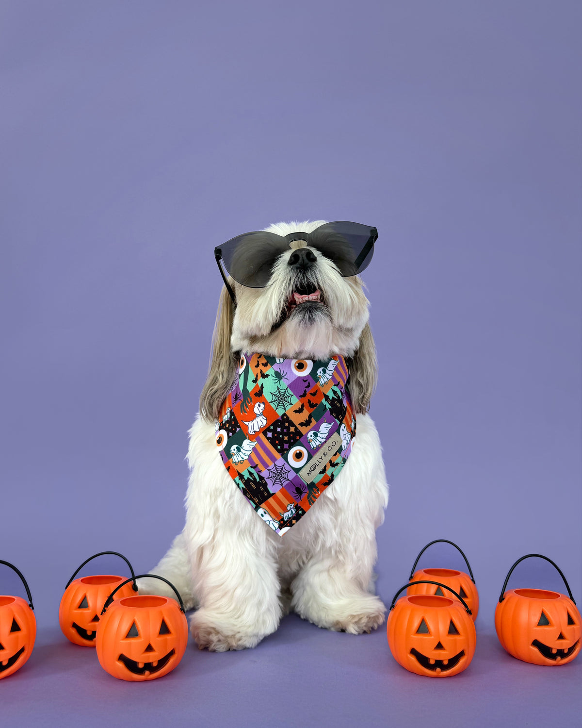 Haunted Pack - Dog Bandana