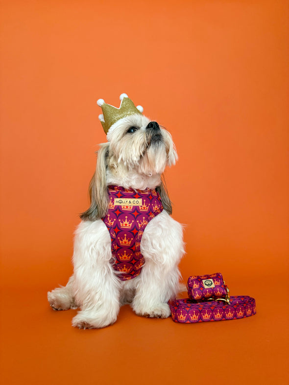 Royal Queen - Dog Leash